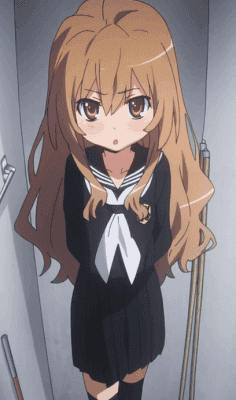 Se anuncia OAD de Toradora!, posible final incluido