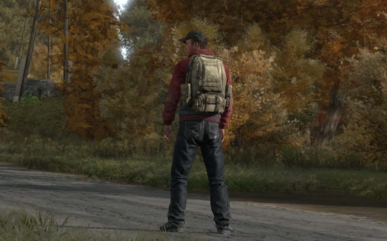 El Beta de DayZ no lo veremos hasta finales de 2014